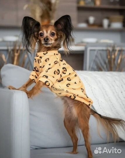 Одежда для собак