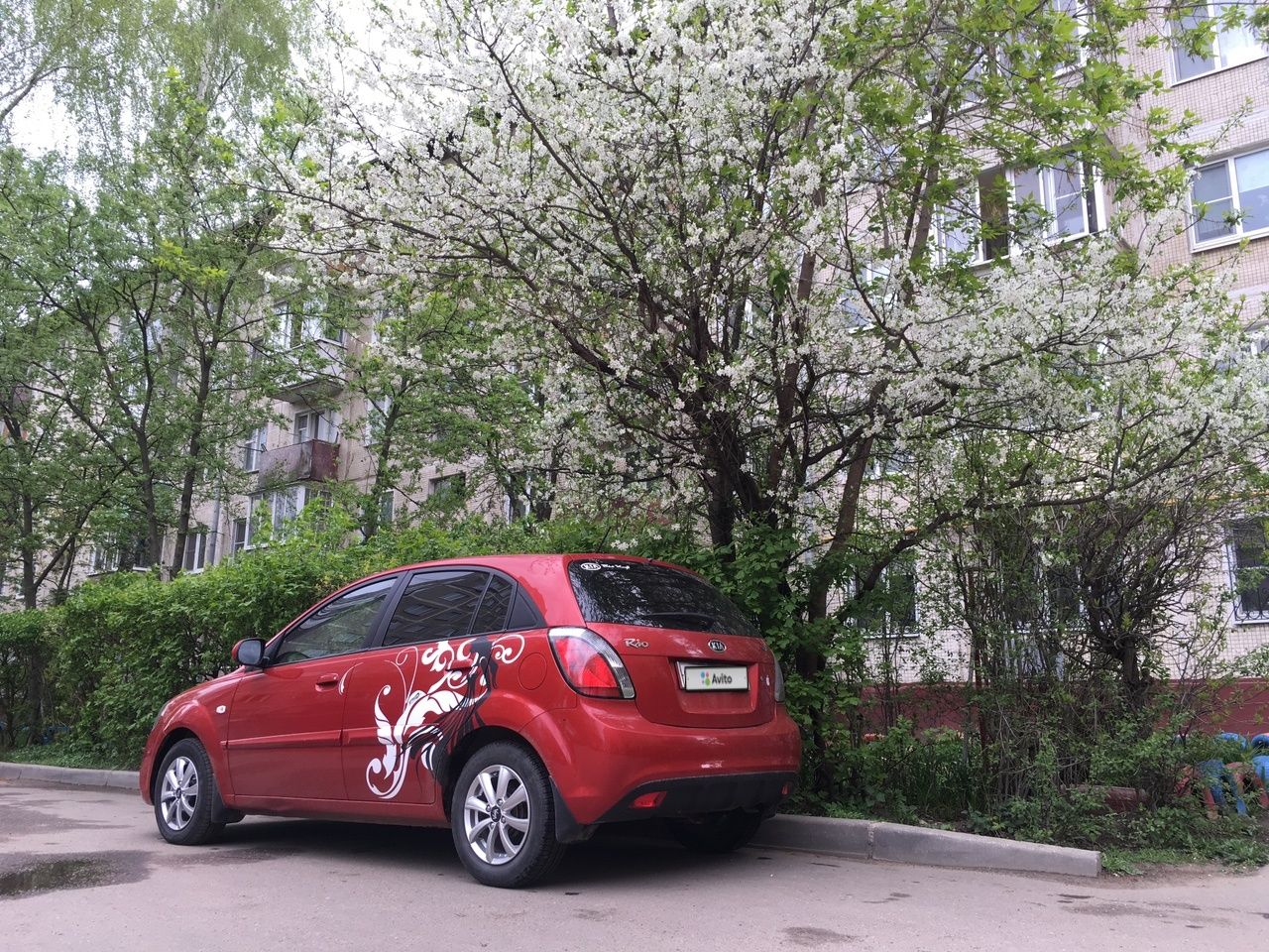 Kia Rio: фото владельца