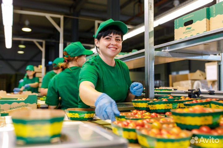 Упаковщица-фасовщица работа вахтой