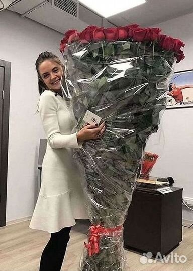 Высокие розы Гигантские Розы 150 160 170 180 190см