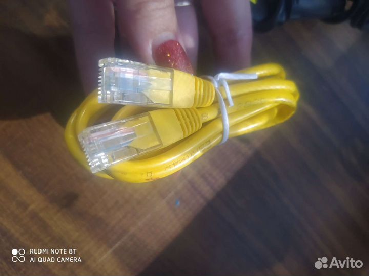 Тюльпаны провода