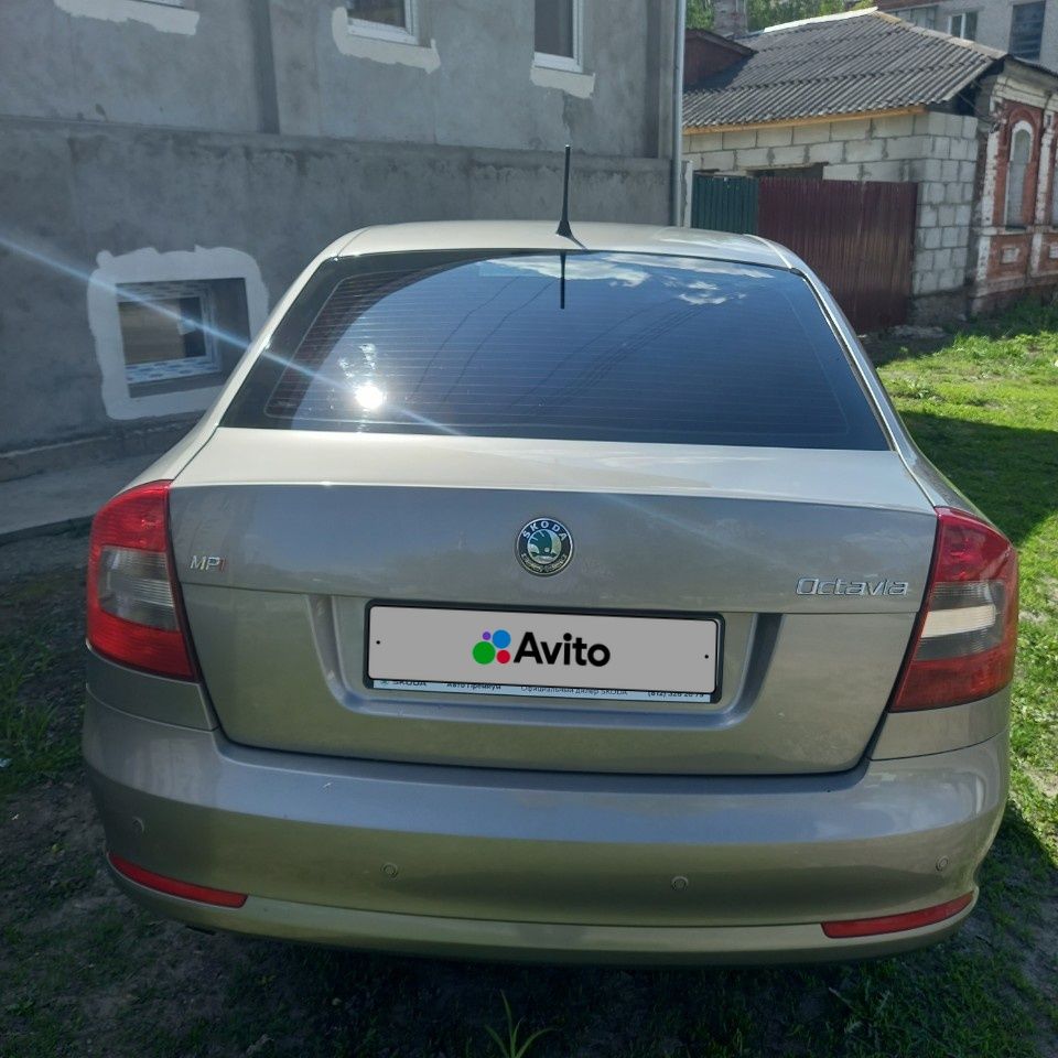 Skoda Octavia: фото владельца