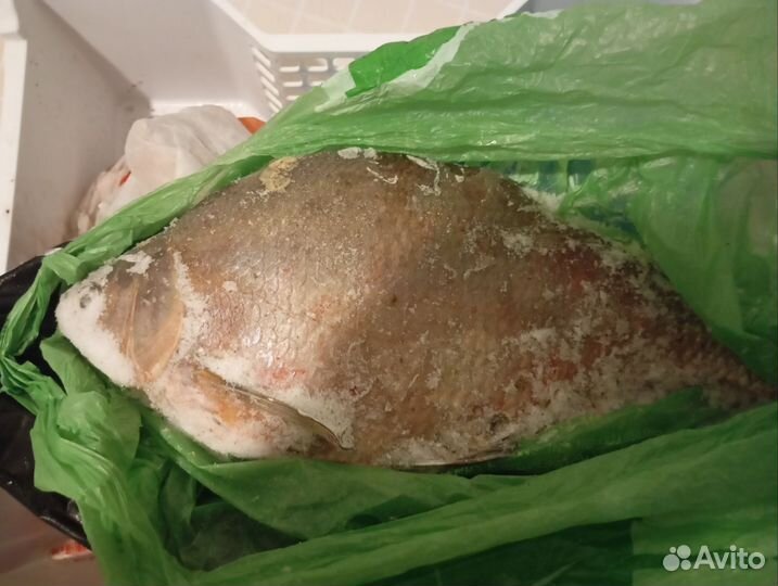 Свежемороженная рыба