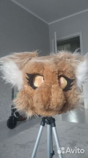 Фурсьют кота