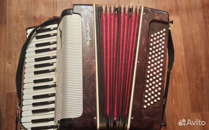 Аккордеон 
