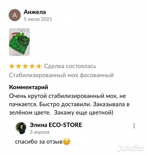 Панель из стабилизированного мха в бассейн