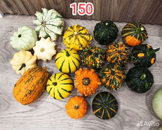 Тыква декоративная