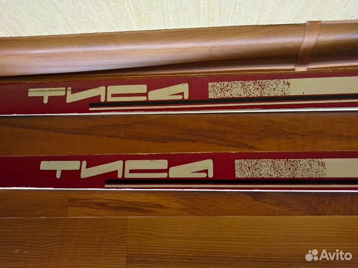 Беговые лыжи Тиса