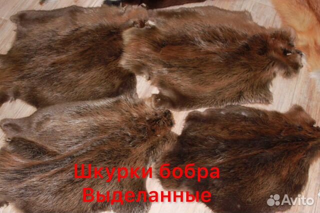 Мех