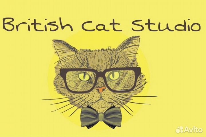 Английский язык с British Cat