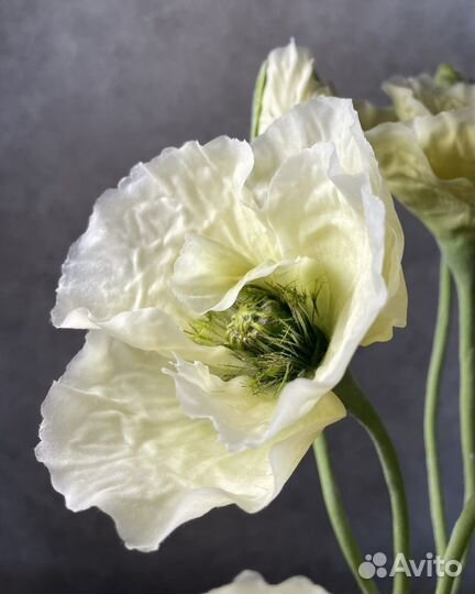 Маки. Цветы из холодного фарфора