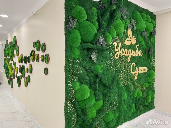 Мох сублимированный. Вертикальное озеленение