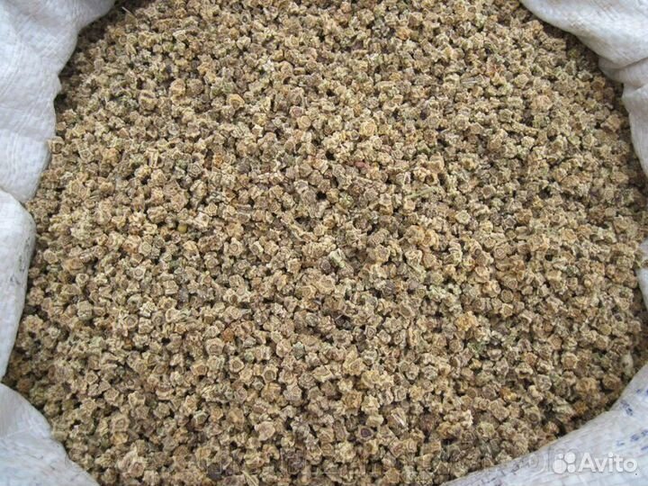 Семена свекла кормовая