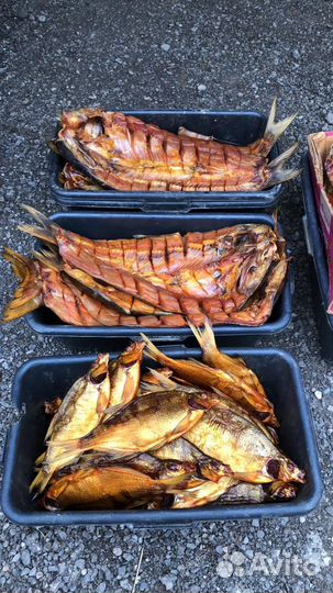 Рыба карась,карп,воблаЖивая рыба, вяленая,Копченая