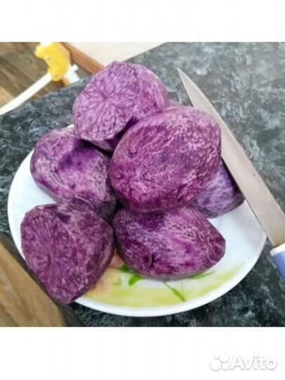 Картофель фиолетовый картошка