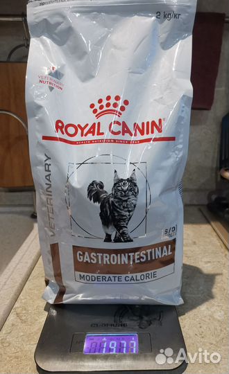 Сухой корм для кошек royal canin