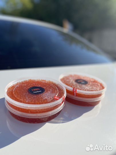 Красная икра камчатка 2023