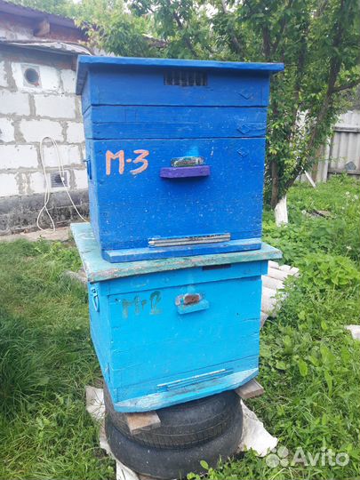 Продам ульи