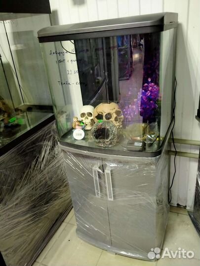 Аквариумы, море, рыбки, оборудование