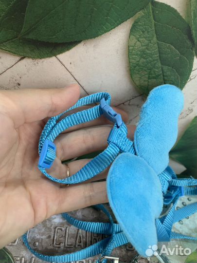 Шлейка для котенка