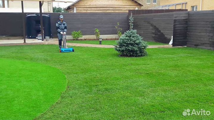 Рулонный газон напрямую от производителя