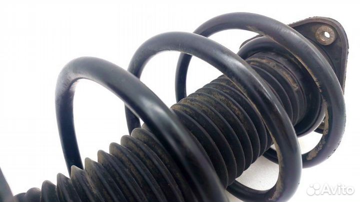 Амортизатор подвески правый Ford Focus 3 iqdb 2016