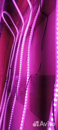 Диодная лента