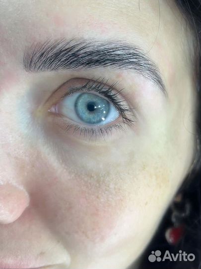 Мастер бровист