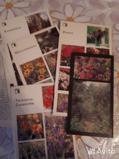 Набор открыток СССР Ваш приусадебный участок