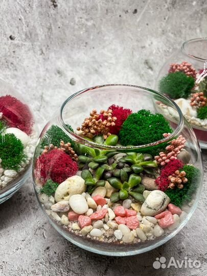 Флорариум. Подарок