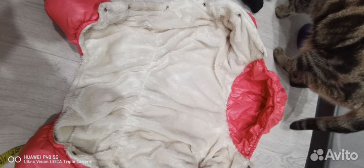 Комбинезон и курточка для собачки