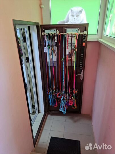 Продам готовый бизнес, зоомагазин