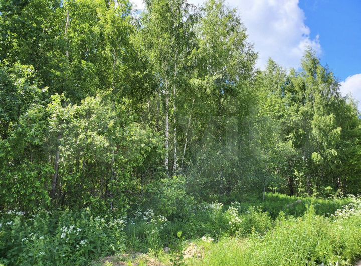 Участок 10 сот. (ИЖС)