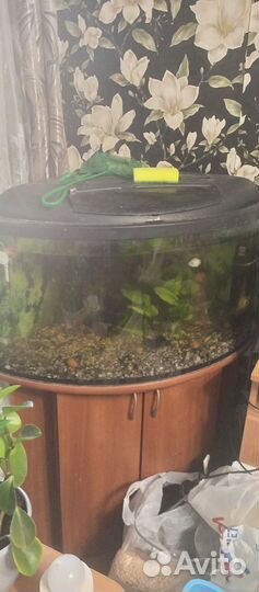 Аквариум 120 литров