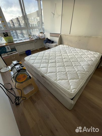 Аренда моющего пылесоса и парогенератора