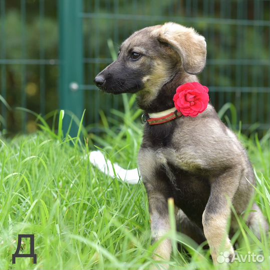 Малышам нужен дом