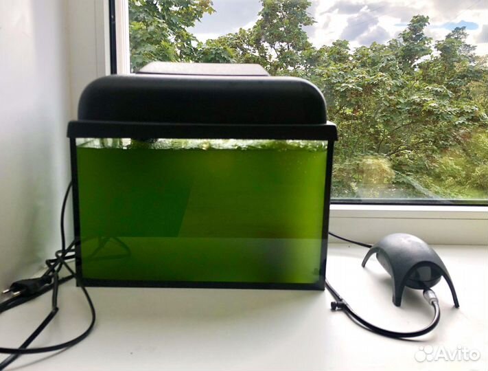 Тетраселмис