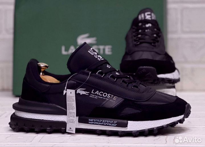 Кроссовки Lacoste premium