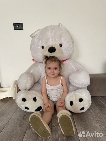 Большие плюшевые медведи