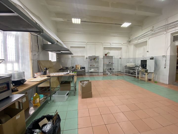 Пищевое производство, 101 м²