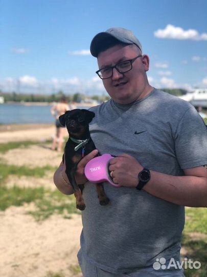 Услуги кинолога