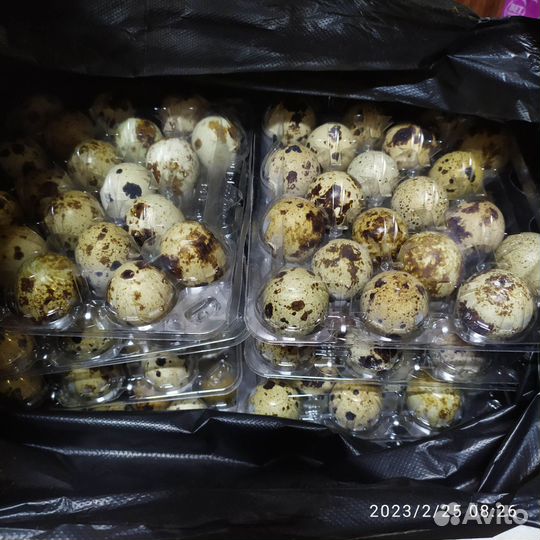 Мясо перепелов