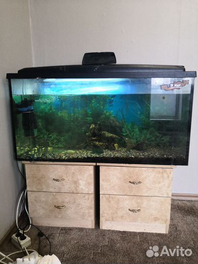 Аквариум