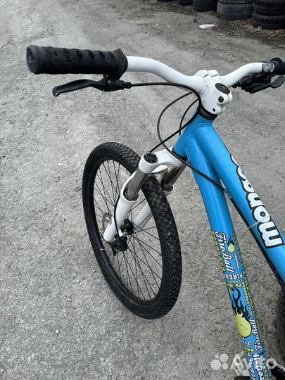 Mongoose fireball 26