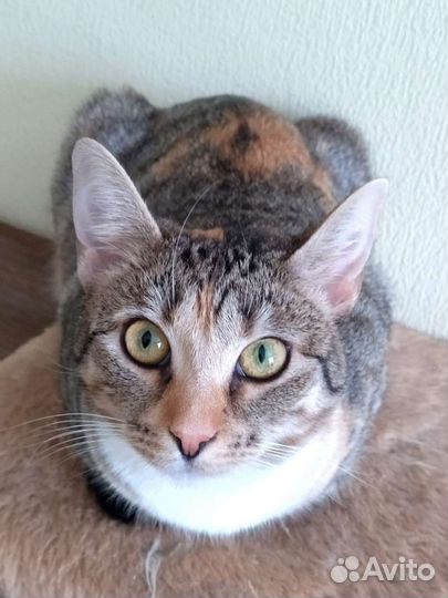 Алиса 11 мес