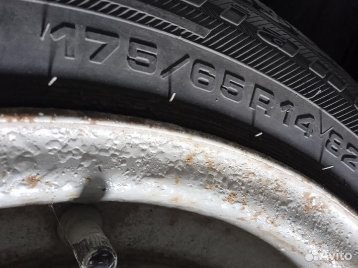 175/65 R14 Cordiant Polar Зима Штампованные R14 pс