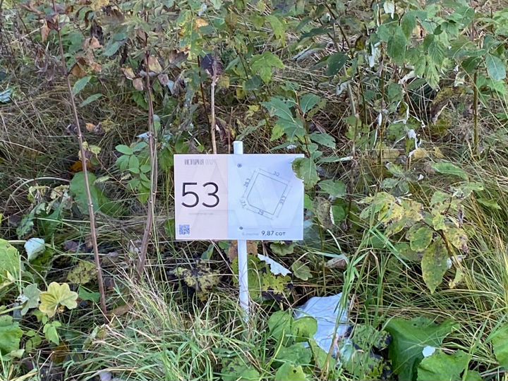 Участок 9,9 сот. (СНТ, ДНП)