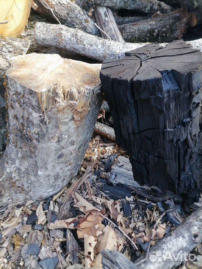 Уголь древесный граб и ясень