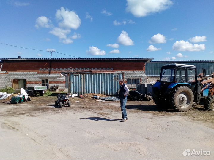 Ферма 350 м2 и 32 га. пахотной земли с/х в аренду