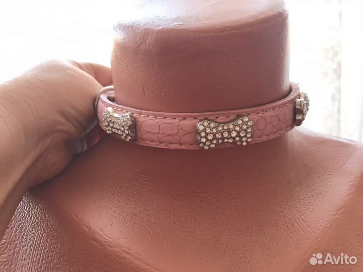 Ошейники и шлейка